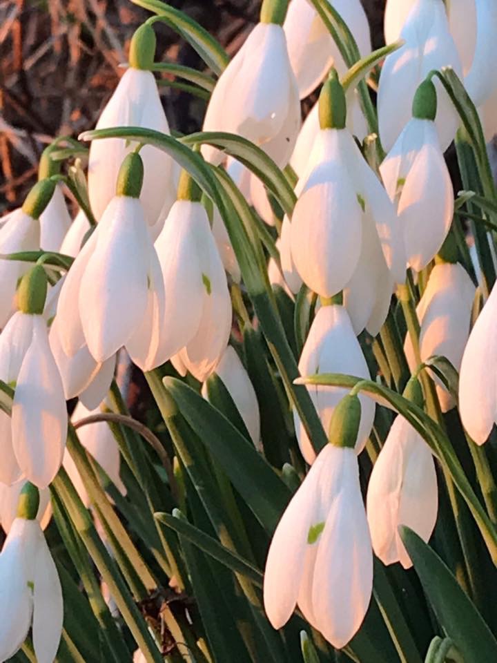 March News letter