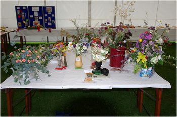 Belford Show