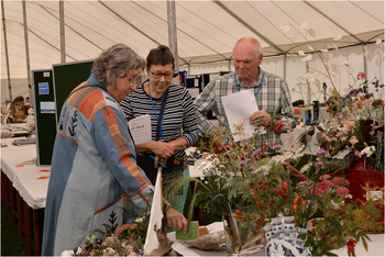 Belford Show