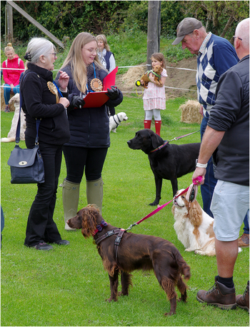 Belford Show