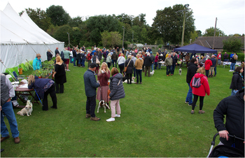 Belford Show