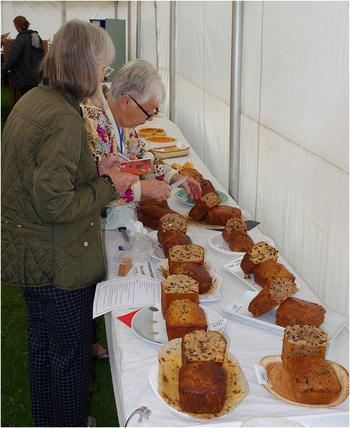 Belford Show