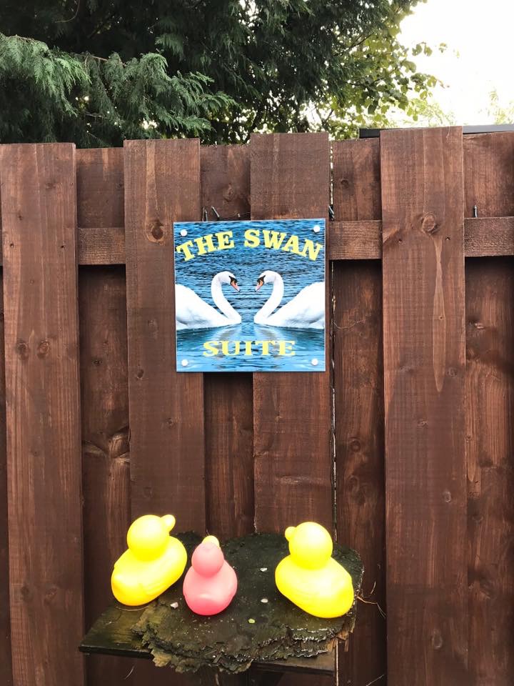 Ducks in Training around the Village for Saturdays Duck Race